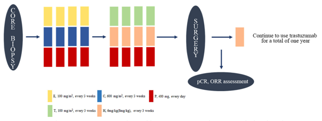 国药之光带来新希望！全球首个全文报道吡咯替尼新辅助治疗研究成果！