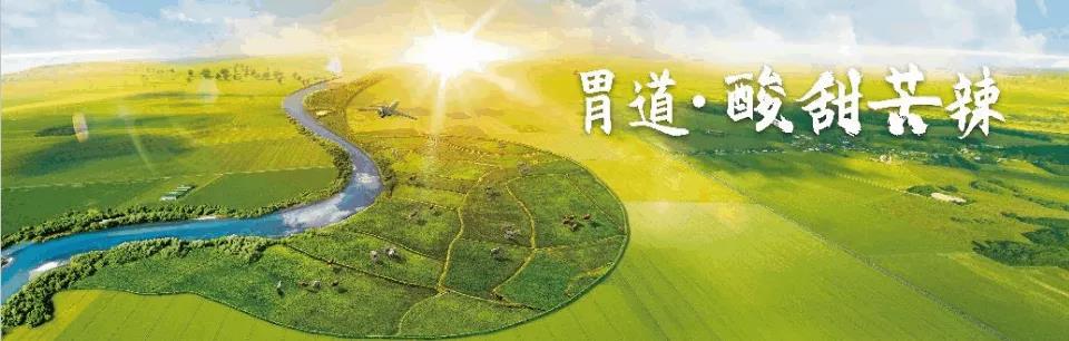 南北大咖共论“胃”道 解读免疫治疗一线突破