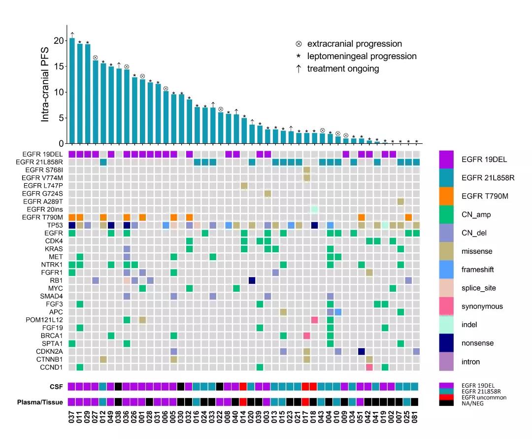 脑脊液基因分型精准指导NSCLC脑膜转移治疗