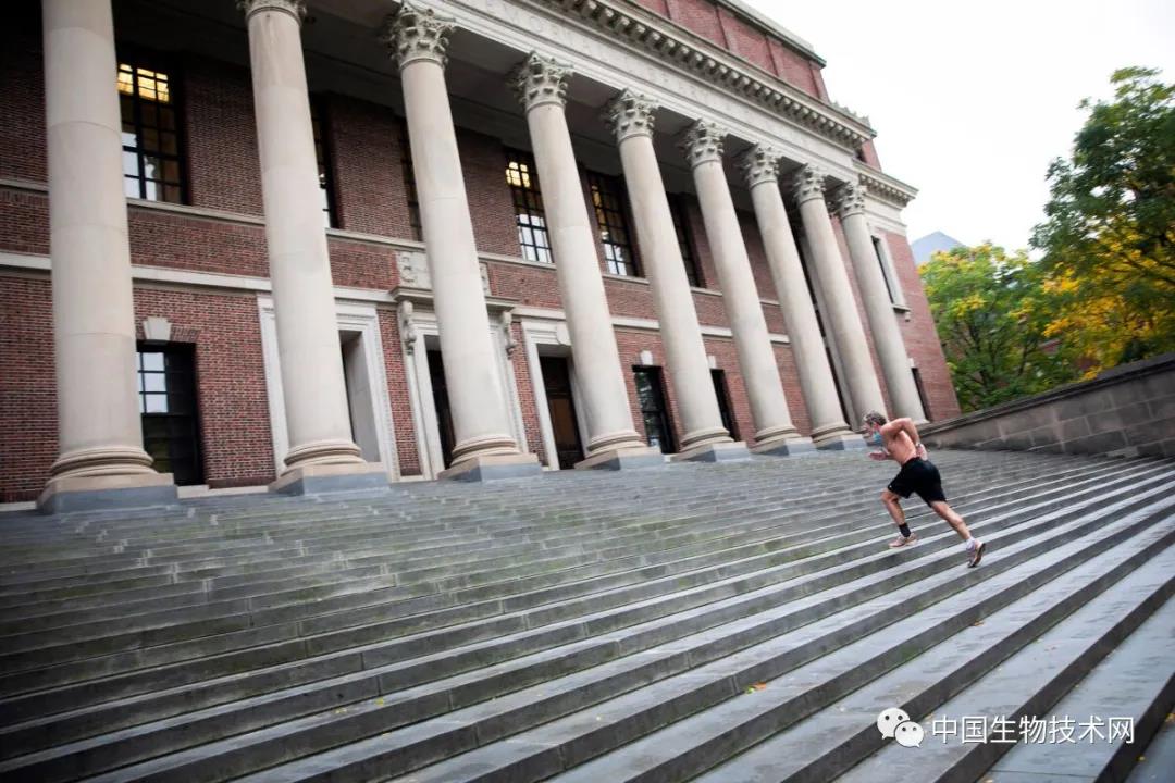 仅12分钟的剧烈运动 能为健康带来巨大的代谢益处