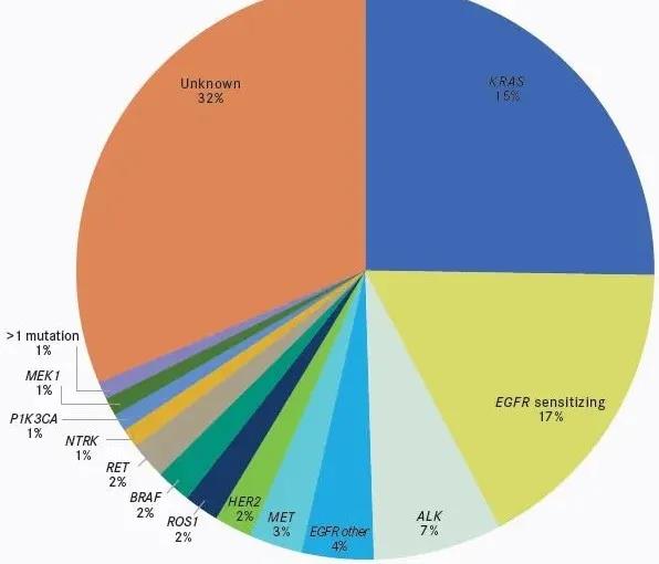 2020 CSCO非小细胞肺癌诊疗指南出炉！最全的可用靶向药、基因突变靶点倾情奉献！