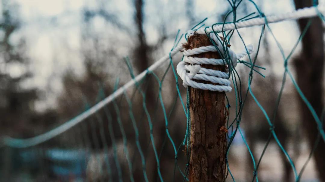 人想救命，但命不由人