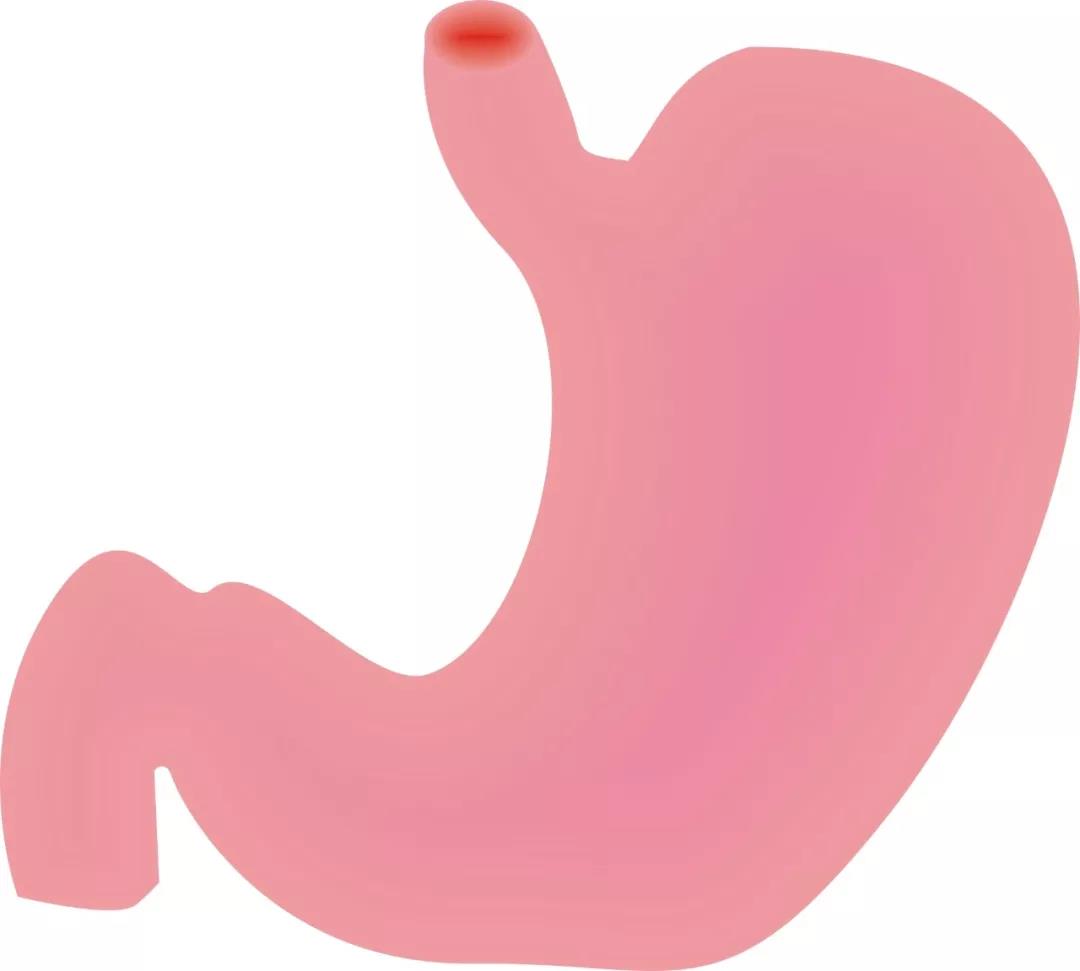 明明就是胃溃疡？怎么不到两年就变胃癌了？