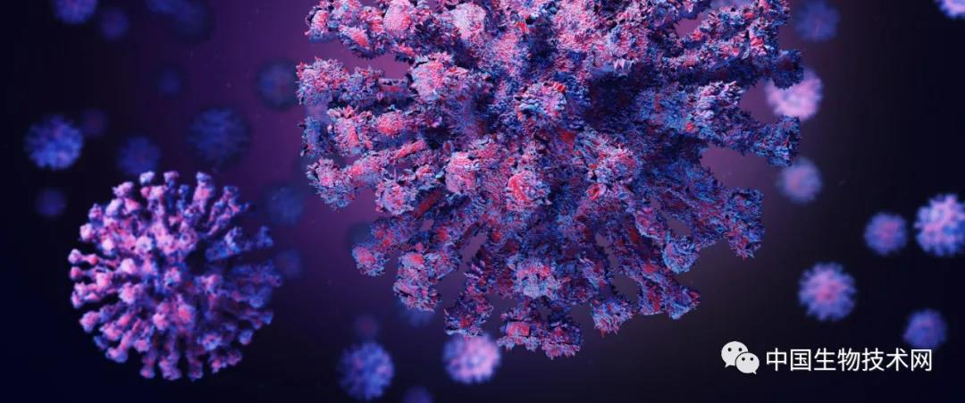 日本和柬埔寨发现与新冠密切相关的冠状病毒！