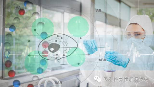 多发性骨髓瘤MR SD PD分别是什么意思？