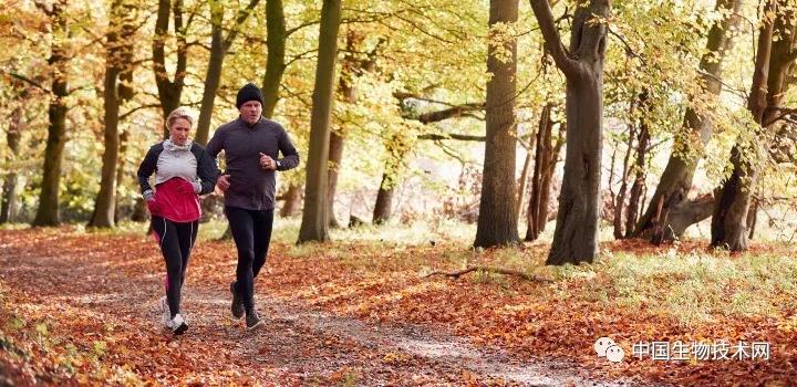 一项随机临床试验：仅减掉两三公斤体重，患糖尿病的风险几乎就能减半！