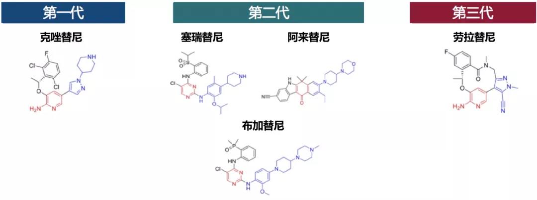 非小细胞肺癌钻石突变ALK靶向药物年终总结