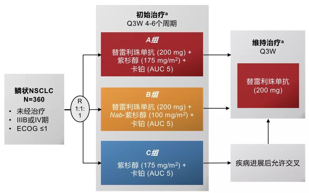 国产PD-1替雷利珠单抗联合化疗突击肺癌一线治疗