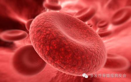 骨髓瘤如何做好治养措施？