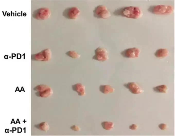 你以为你吃的是维生素 没想到是免疫治疗神助攻！