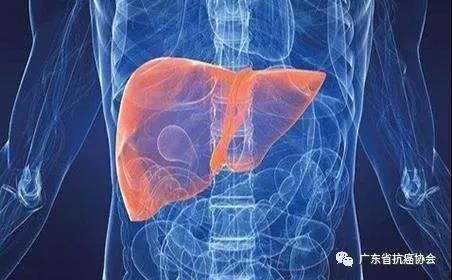 肝癌是乙肝变成的吗？如何预防乙肝？
