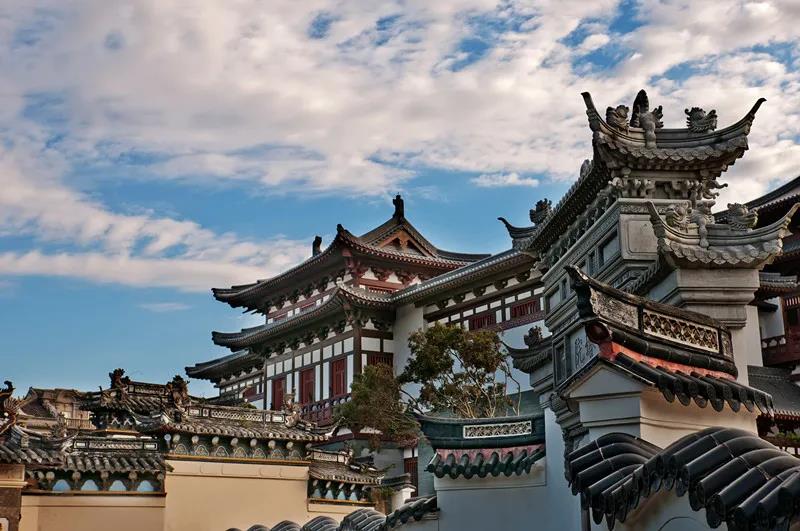 中信保诚人寿分公司达22家 业务版图拓至99城