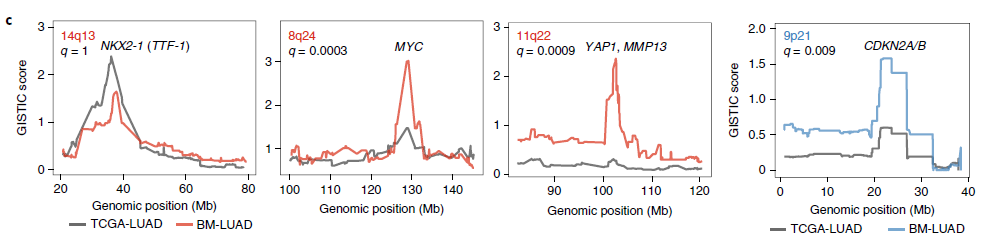通过人类脑转移的的基因特征确定转移性肺腺癌的驱动因素