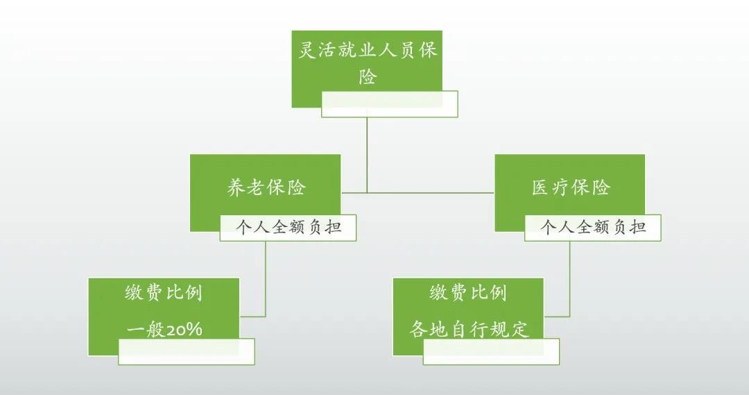 为什么我的养老保险缴费越来越贵？亏了吗？