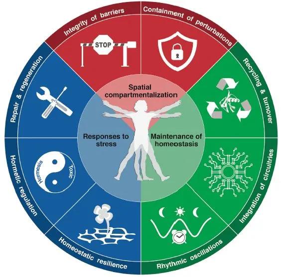 重新定义健康：八大标志