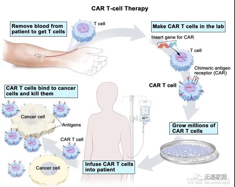 全球第一位被CAR-T疗法治愈的白血病儿童 庆祝无癌8年！