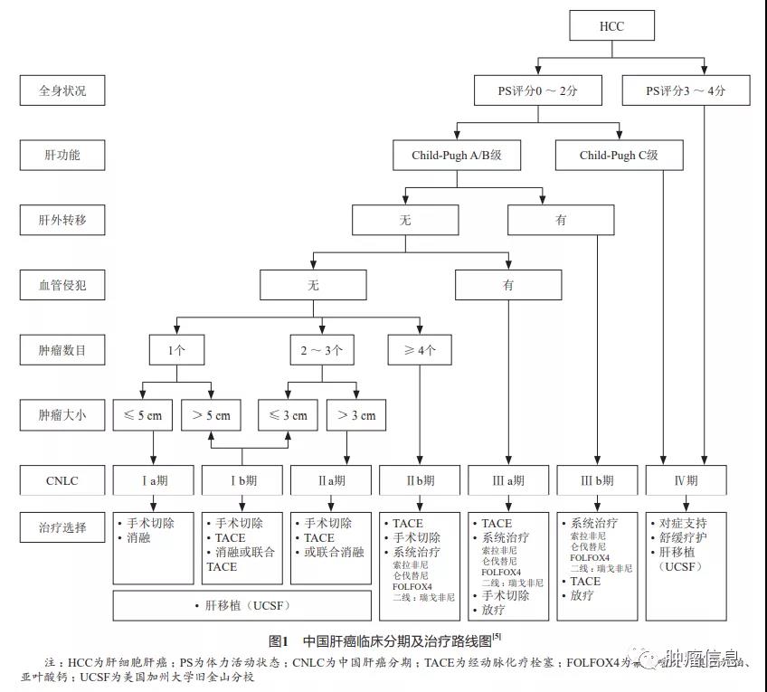 中国肝癌多学科综合治疗专家共识