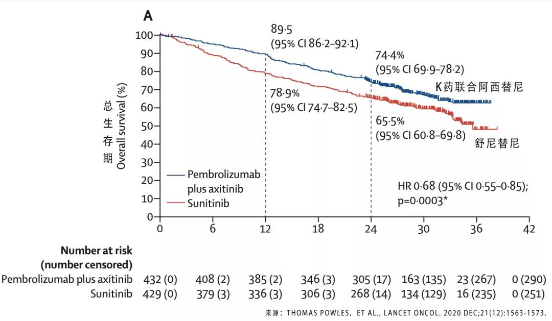 免疫-靶向联合方案治疗肾癌数据更新 延长随访 风采依旧！