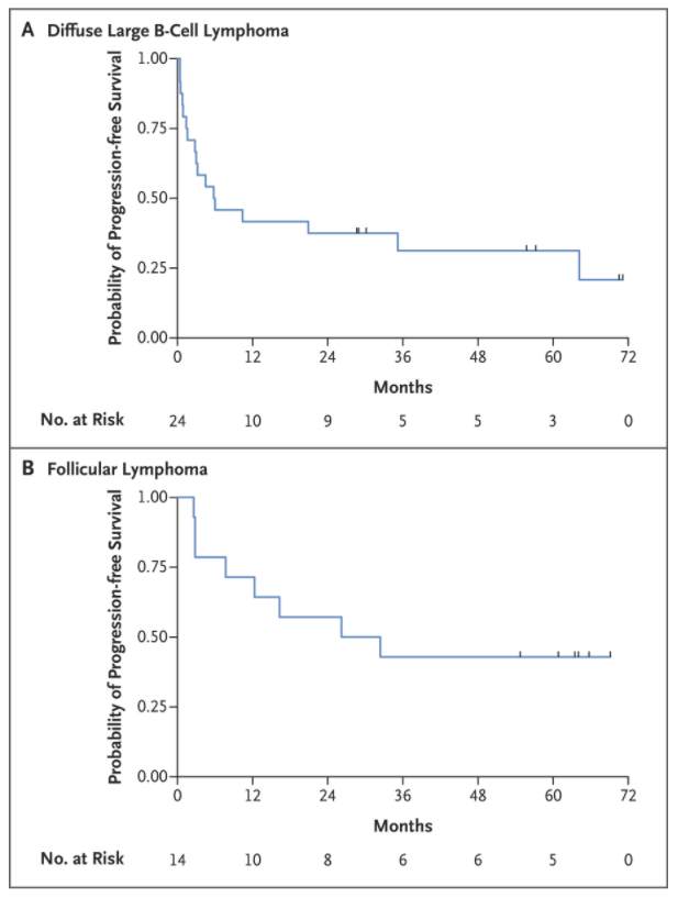 宾大团队NEJM发文，公布CAR-T疗法迄今最长时间5年随访数据