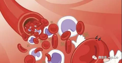 如何预防骨髓增殖性疾病并发血栓？​