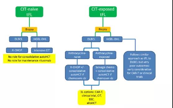 滤泡细胞淋巴瘤发生转化，血液科医生该如何应对？