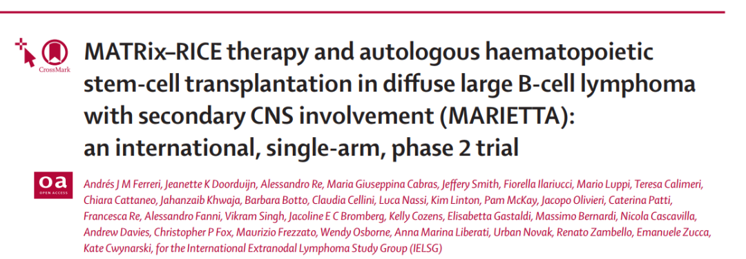 MATRix-RICE联合ASCT治疗继发CNS的DLBCL，1年PFS率达100%
