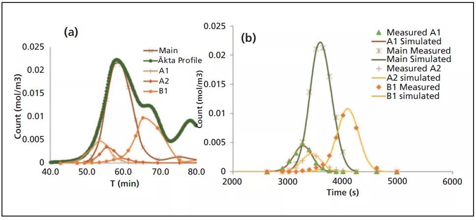 如何建立离子交换层析模型提高纯化效率