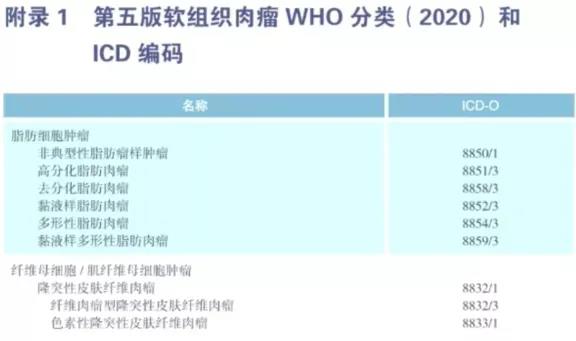 黑色素瘤及肉瘤指南更新亮点