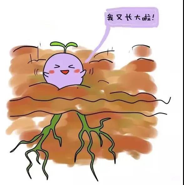 子宫内膜到底多厚才能胚胎移植？