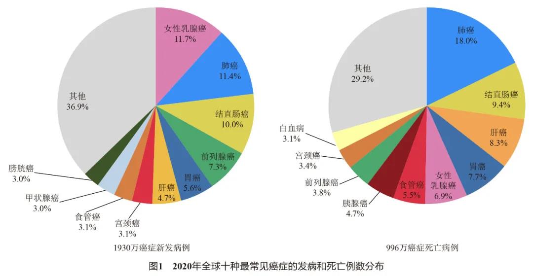 全球及我国乳腺癌发病和死亡变化趋势