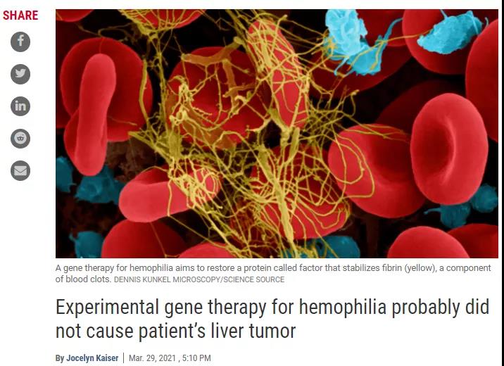 AAV载体基因治疗具有癌症风险