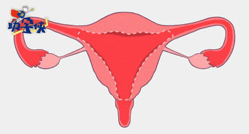 20210425214411.gif 20210425214411.gif