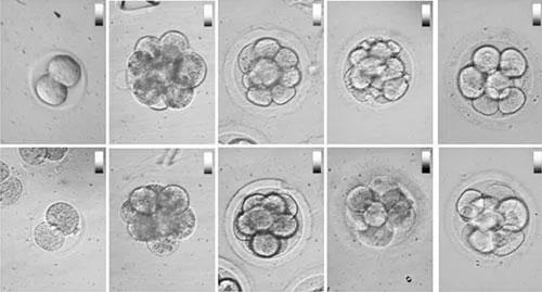 20210427220059.jpg 20210427220059.jpg