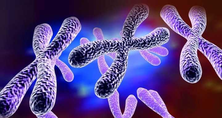 胚胎移植后需要休息多长时间