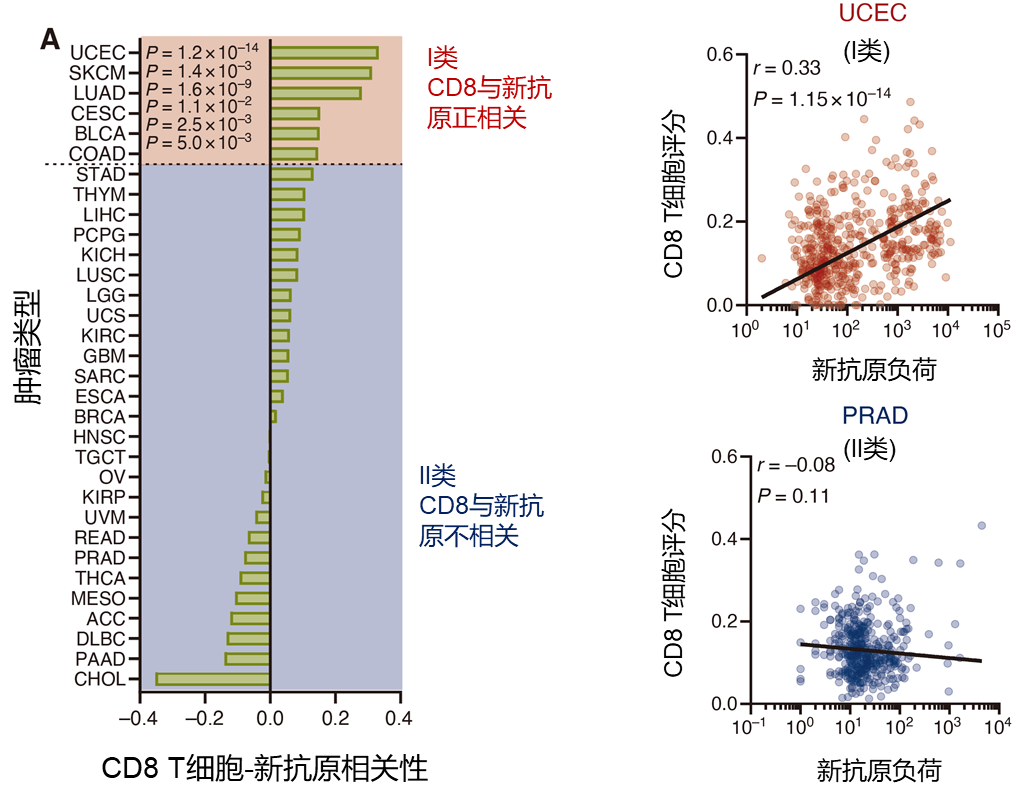 当biomarker遇上免疫治疗