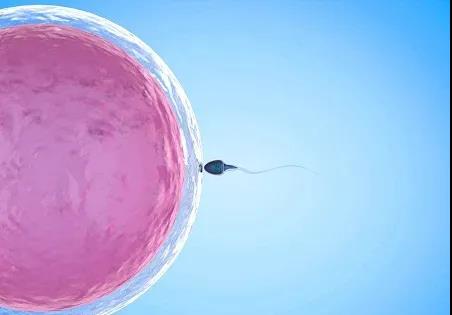 做试管需要注意什么？