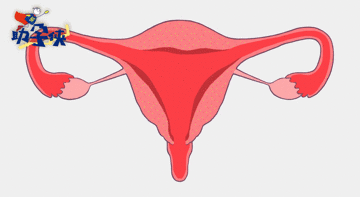 20210425214358.gif 20210425214358.gif