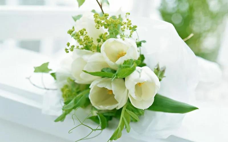 多囊卵巢综合征能通过试管婴儿拥有自己的孩子吗？