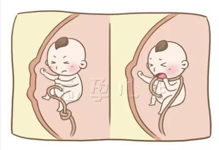 备孕要不要进补