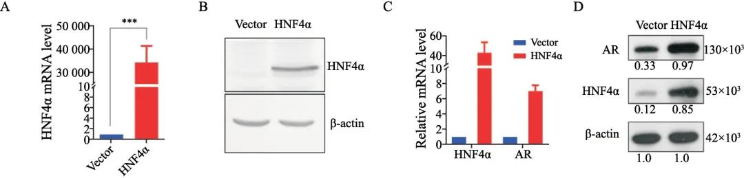 20210503154834.jpg 20210503154834.jpg