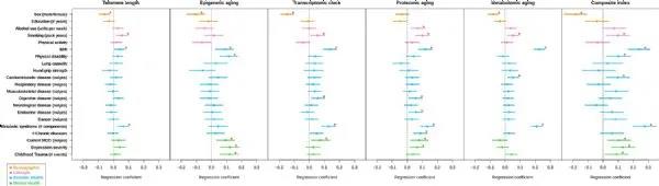 20210504125145.jpg 20210504125145.jpg