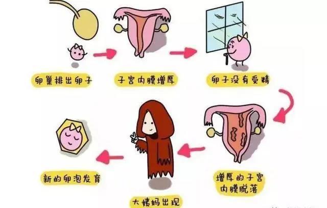 20210503154114.jpg 20210503154114.jpg