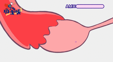 20210503164210.gif 20210503164210.gif