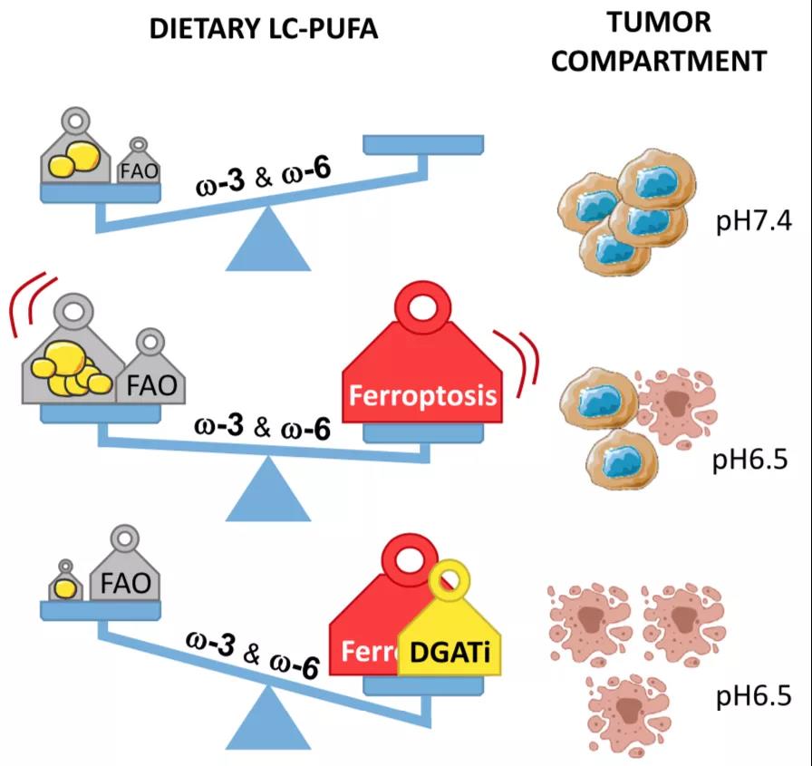 20210630170807.jpg 20210630170807.jpg