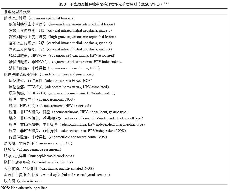 20210623153813.jpg 20210623153813.jpg