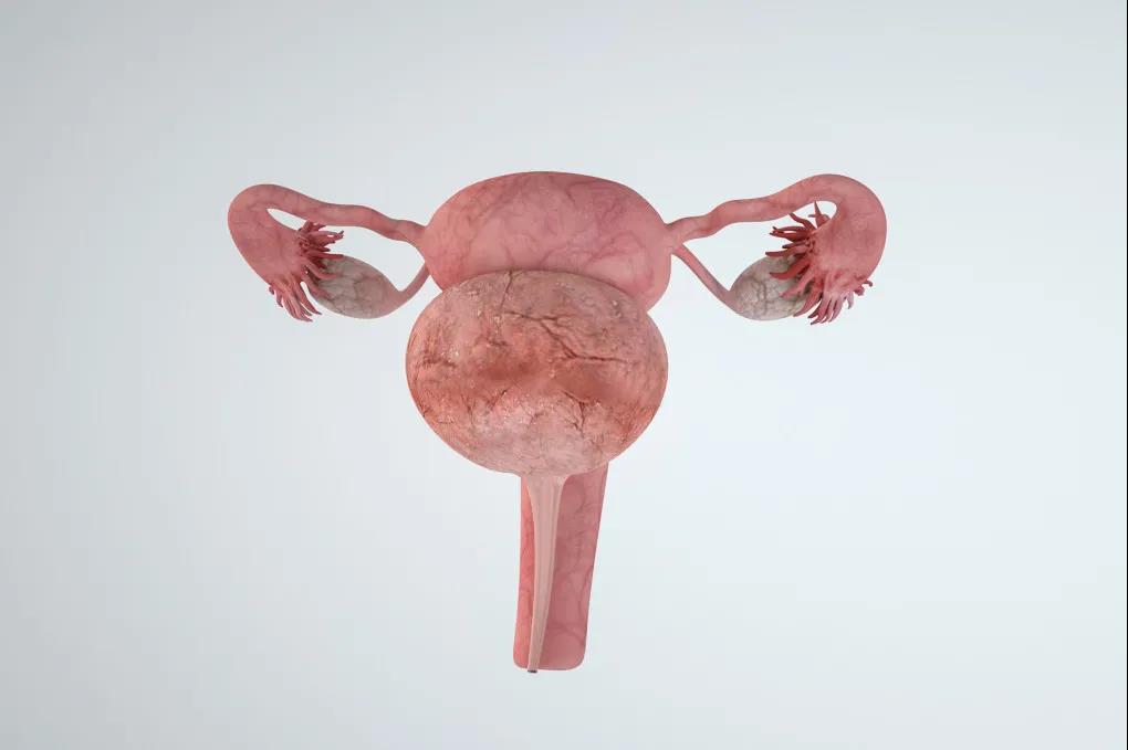 20210701173023.jpg 20210701173023.jpg