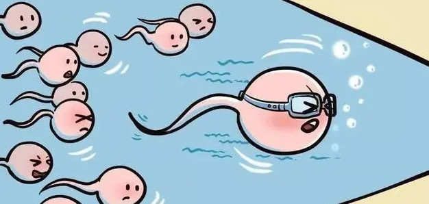 20210716210935.png 20210716210935.png