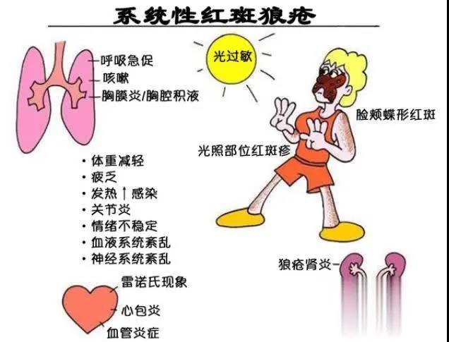 20210716212050.jpg 20210716212050.jpg