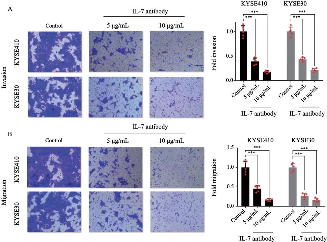 20210702172201.jpg 20210702172201.jpg