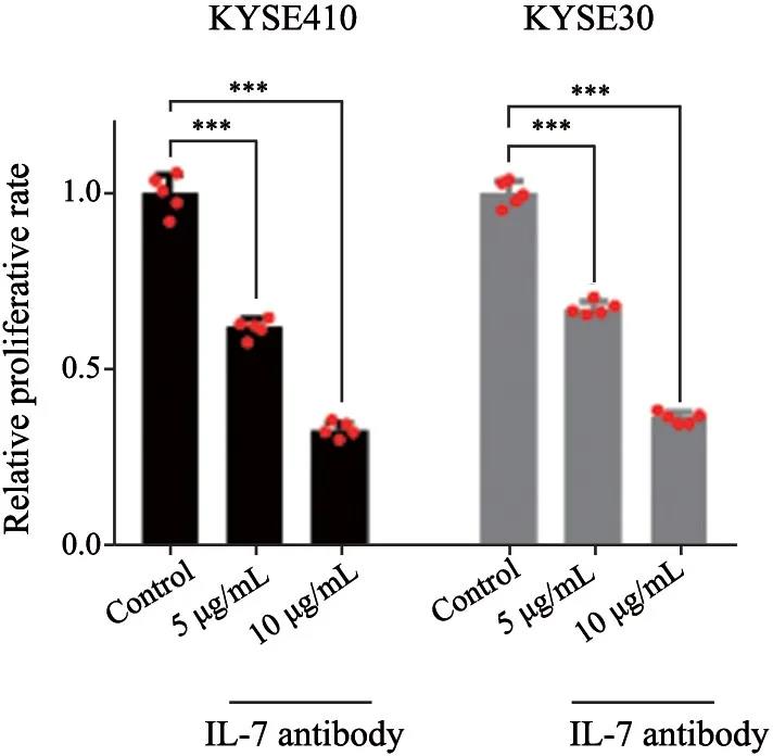 20210702172140.jpg 20210702172140.jpg